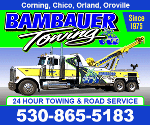 Bambauer Towing Service